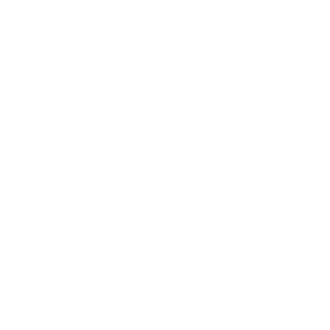 Digitalización de procesos (10)