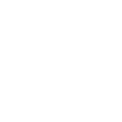 Digitalización de procesos (10)